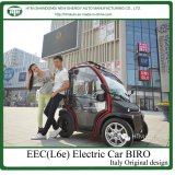 High Speed Electric Car/2 Seats Battery Car