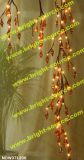 96l Acrylic Willow Light with Assorted Design (Mdw071206)