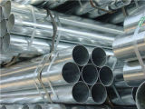 Galvanized Square Steel Pipe/Tube
