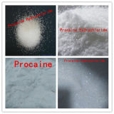 White Powder Pharmaceutical Raw Material Procaine Hydrochloride