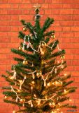 Artifical Fiber Optic Lighting Christmas Tree, Top Star Decoration Christmas Tree