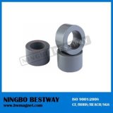 Strong Customized N45sh N54 Multipole Ring Magnet