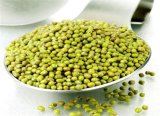 2015 Chinese Green Mung Beans Whole Sale ~