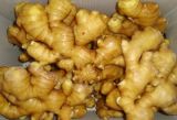 2015 Chinese Hot Sales Fresh Ginger