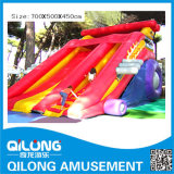 Large Style Funny Inflatable Slide (QL-D071)