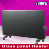 Electric Glass Panel Heater, Convector Heater (NDY20B)
