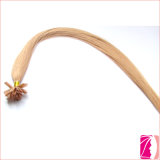 New Products Hight Quality Hair Extension Prebonded U Tip Hair
