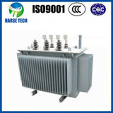 S9/11 11kv Power Transformer (HX-OT11)