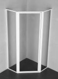 Sap Neo-Angle Pivoting Shower Enclosure/Shower Door/Shower Room