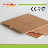 Lumber Core Plywood with Factory Price