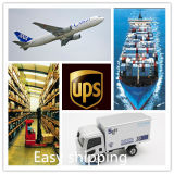 Door to Door, Fast and Safe Cargo Service From China to South American Shipping