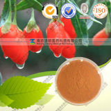 Lycium Barbarum Extract Barbury Wolfberry Fruit P. E