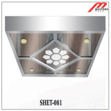 Good Quality Ceiling for Elevator