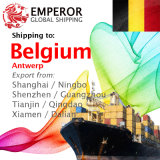 Cargo Ship From Shanghai, Ningbo, Shenzhen, Guangzhou to Antwerp, Belgium