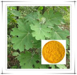 Natural 60%, 80% HPLC Macleaya Cordata Extract Powder for Insecticide