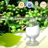 Green Coffee Bean Extract Chlorogenic Acid 10%-90%