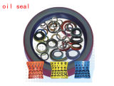Oil Seal and Rubber Gasket Tc Type, Vc Type