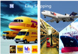 Efficiency Logistics Service From China to Brazil Shipping