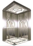 Machine Roomless Passenger Elevator (DAIS004-3)