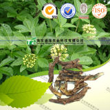 100% Pure Natural Herb Medicine Cortex Acanthopanacis