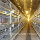 Layer Chicken Cage System Poultry Farm Equipment