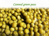 Canned Green Peas/Tinned Green Peas/Canned Food