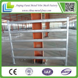 42X115 Mm Oval Rail Used Livestock Panels for Sale