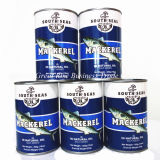 Original Taste Canned Mackerel in Natural Oil for Instant Food