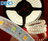 Totally Waterproof Color Temperature Adjustable LED Strip Light With Silicone Tube (DL-FCC-35P12-WT)