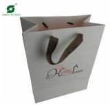 Custom Paper Carrier Shopping Bag (FP3036)