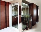Small Home Elevator with Low Cost in China