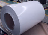 Whiteboard -Steel Coil Raw Material