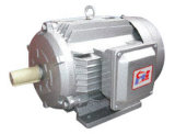 Ie2 Y2 Three-Phase Induction Motor