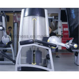 Prone Leg Curl Gym Equipment / Fitness Equipment with 20 Years Experiences