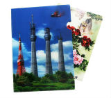 Plastic PP File Folder with 3D Effect Lenticular Printing