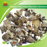 Manufacturer Supplier Organic Dried Grey Oyster Mushroom