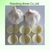 2015 Shandong Boren Crop Fresh Normal Garlic
