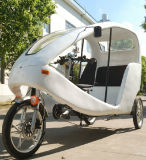Sightseeing Electric Tricycle with Brushless Controller