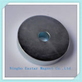 D50 Zinc Plating Disc NdFeB Magnet with Hole