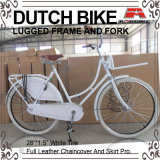 28 Inch Coaster Brake Leather Chaincover Dutch Bicycle (AYS-2802S)