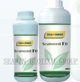 Seaweed Fe
