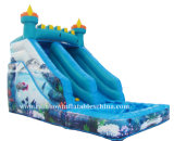 Hot Sale Inflatable Dolphin Water Slide (RB7011)