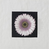 Resin Sandstone Purple Gerbera Flowers Wall-Mounted Decoration for Home Decoration or Hotel Decoration