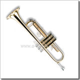 Golden Lacquered Brass Body Bb Key Student Trumpet (TP8001G)