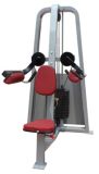 Fitness Equipment / Gym Equipment / Lateral Raise (SW07)