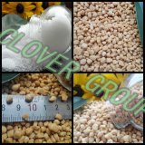 Nitrogen Fertilizer Granular Ammonium Chloride (25% N fertilizer)