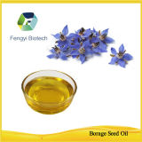 Pharmarceutical Material--Borage Seed Oil
