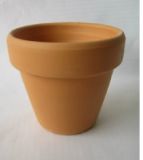 Ceramic Flower Pot (sc-5919)