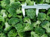 Frozen Broccoli (IQF) 