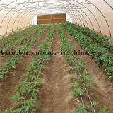 High Quality Agricultutal Drip Irrigation Pipe